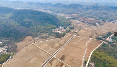 【五大行动 咸安实践】咸安：“小田并大田”蹚出“碎地生金”新路子