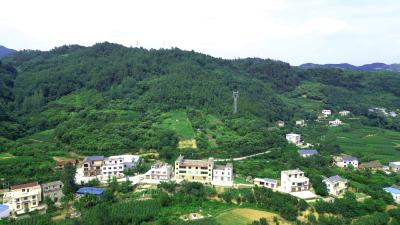 行行代码铸警魂——追记因公牺牲的武汉民警万松
