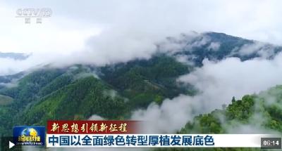 新思想引领新征程丨中国以全面绿色转型厚植发展底色