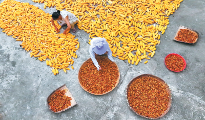 野人谷镇：“五访五看”走深走实 筑牢脱贫成果“压舱石”