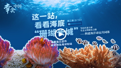 幸会中国 | 守护珊瑚之美，共筑“海洋命运共同体”