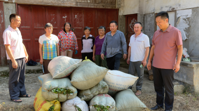 “实事清单”变“幸福账单”——大木厂镇 “我为群众办实事”汇就民生暖色