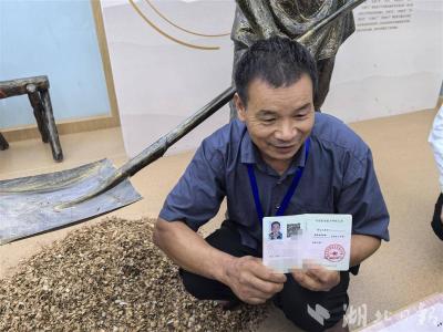 活力中国调研行｜“随县香菇种植工”劳务品牌带动30多万人就业