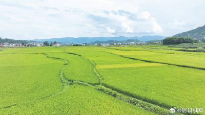 野人谷镇：织密反电诈“防护网” 全力守护群众的“钱袋子”