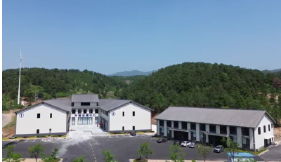 上线八个多月，交易额近一点五亿元 供应链平台助广水农产品“驾云”出山