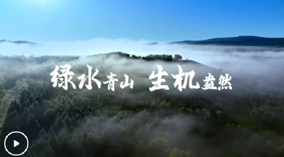 4269平方公里，习近平关切这个绿色“国宝”