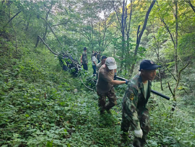 门古寺镇杨岔山村：村民共建引水渠 同心共圆“活水梦”