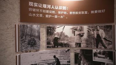 “两山”理念落地二十年，湖北两村交出绿色转型高分答卷