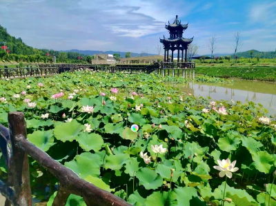 军店镇：农文体旅融合 激活“暑期旅游经济”