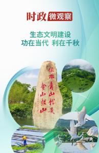 近观“两山”丨理念一变天地宽