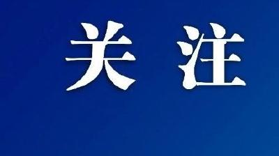 看支点·开放辐射力丨一座机场的脉动