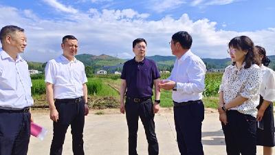 张澍来房调研乡村振兴等工作时强调：科技兴农强产业  农田固本惠民生