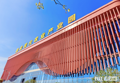 活力中国调研行丨30万人围着“一朵菇”转，随县做对了什么？