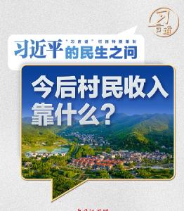 习近平的民生之问丨“今后村民收入靠什么？”
