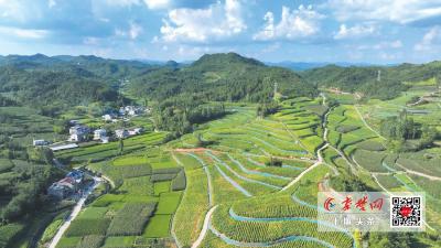 第一观察 | 习近平总书记率中央代表团来到西藏