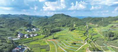 学习新语·抗战｜坚强屏障 血火淬炼