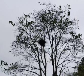 为企业减负！荆州这波操作圈粉~