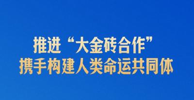 习近平：让“大金砖合作”基础更牢、动能更足、影响更大