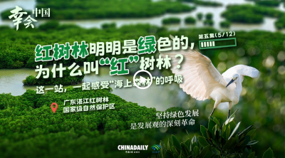 幸会中国 | 中国海上绿色“长城”，见证绿色发展的深刻革命