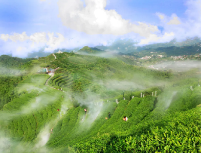 宜昌的它北上，首站为何是这里