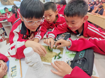 房县开展2025年秋季小学科学新教材培训