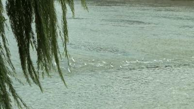 【讲习所·中国与世界】习近平：发展是实现人民幸福的关键