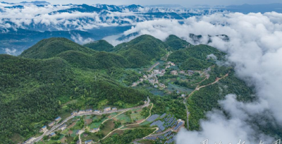 云雾深处的“零碳”密码