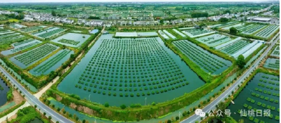 有一种盛会，叫做“鳝开新局”！