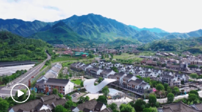 第一视点丨不负青山 金山自来