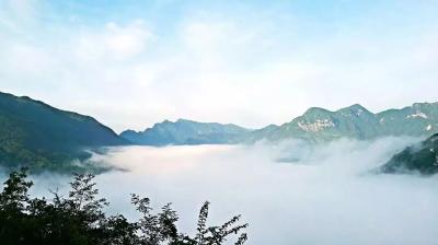 军店镇中村村：秋豇豆错峰上市 设施蔬菜助农增收