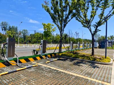 农村新鲜事儿：充电桩进村记