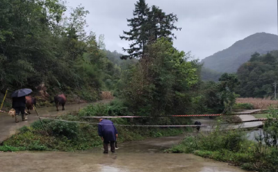 房县人社局驻堤坪村工作队：雨中集结除险情 党群同心护安澜