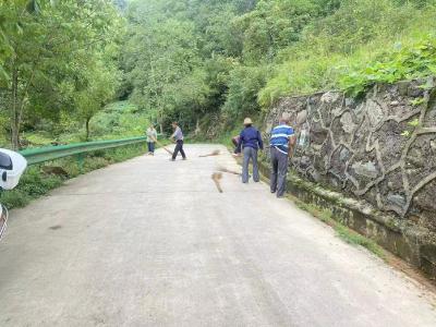 军店镇：“三措深耕”扮靓美丽乡村