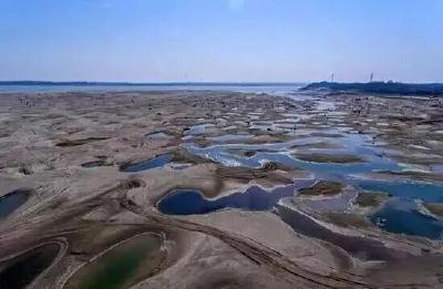 鄂州中湾村“变形记”：从江畔渔村到诗意田园
