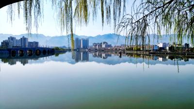 野人谷镇：人大代表牵线搭桥   烟叶种植落地见效​