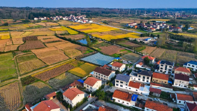 南漳：“三美”描绘和美乡村新画卷