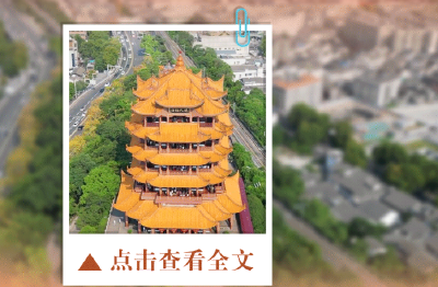 四论学习贯彻党的二十届四中全会精神