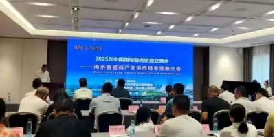 “归雁”兴业潮涌大别山 ——黄冈激活楚商回乡投资新动能