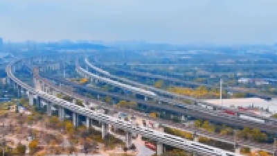 锻造青年铁军——来凤县“四进四提”提升干部素质纪实