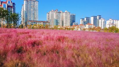 新华社快讯：习近平会见加拿大总理卡尼