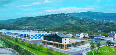 随枝可栖雁归巢 ——从三个重大项目落地看巴东营商环境进阶之路