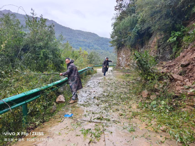 秋雨砺初心 防线护民安 —— 青峰镇以实干筑牢秋汛安全屏障