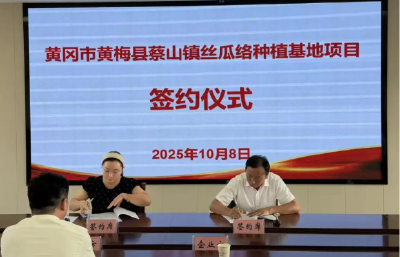 “土丝瓜”变形记——看甬黄合作如何点“络”成金