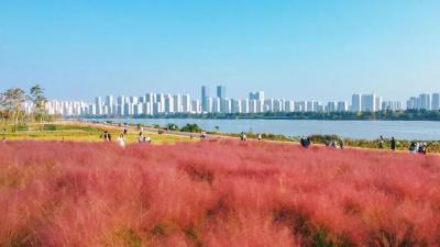 新华社快讯：习近平会见泰国总理阿努廷