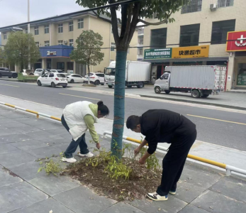 整治违规种菜  擦亮“茶叶小镇”人居底色——窑淮镇集镇环境专项整治见实效