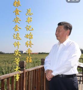 微视频｜粮食安全这件头等大事 总书记始终牵挂