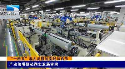 “十四五”非凡历程的实践与启示 | 产业倍增挺起湖北发展脊梁 