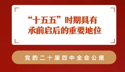 划重点！党的二十届四中全会公报重要提法