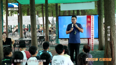 《是这个理》：峒山“绿”变