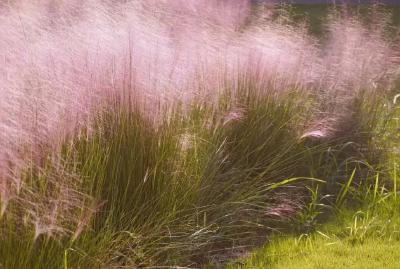 四席领跑，黄冈何以成长江文脉高地？ ——解码湖北十大长江文脉地标中的黄冈文化基因